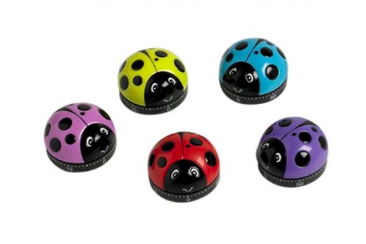 Timer lieveheersbeestje