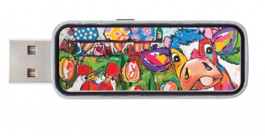 Usb stick 4gb lekker vrolijk