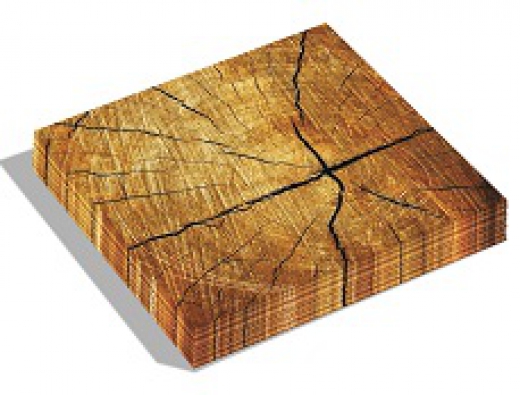 Dutch design servet treetrunk 33x33 cm.